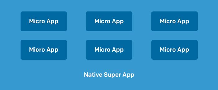 Micro App Micro App